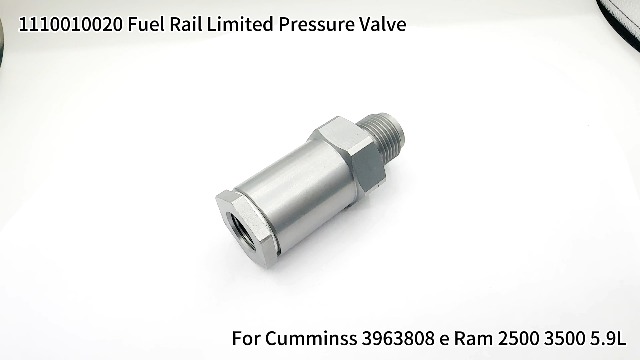 Amazon.com: Common Rail Pressure Limiting Valve 1110010020 for